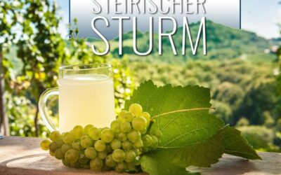 Steirischer Sturm